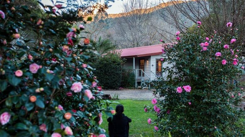 Mystic View Cottage Wandiligong