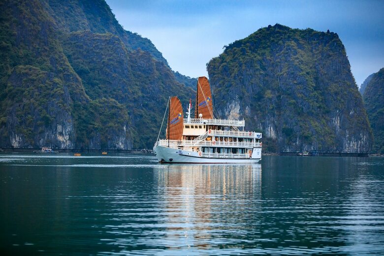 Unicharm Cruise
