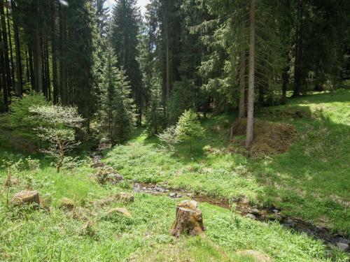 Feriendorf Bad Hundertpfund