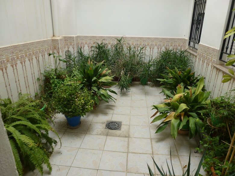 Hotel Ciudad de Pozo Alc�n