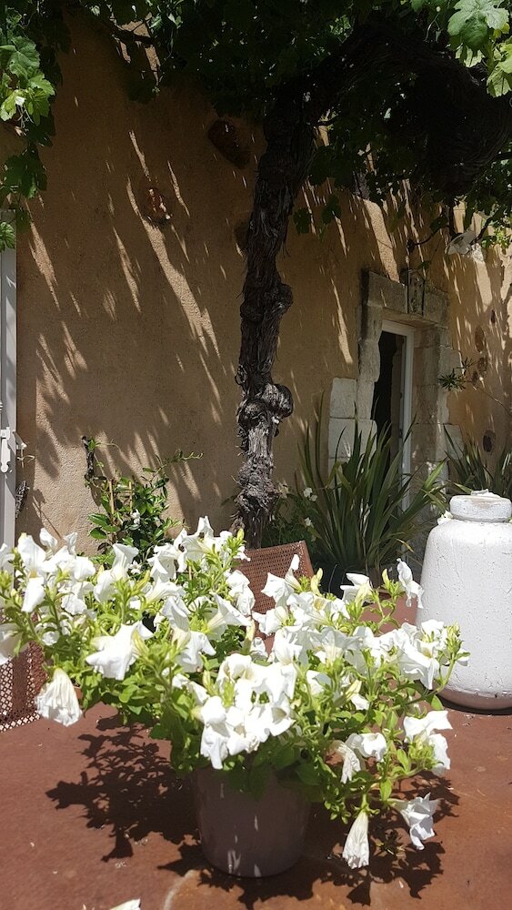 Hotel Mas Roussillon
