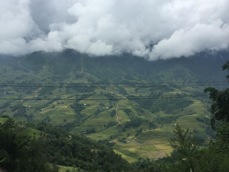 Bed & Breakfast Freedom Homestay