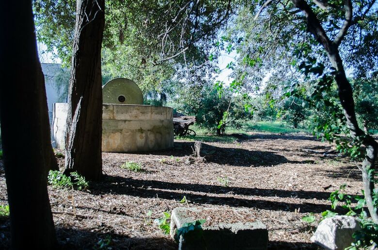 Agroturismo Agriturismo Capani
