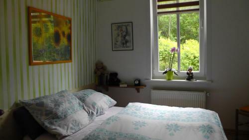 Apartamento Villa Regina