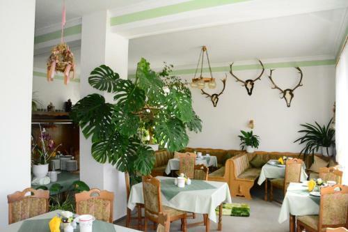 Hostal Pension Schmidt