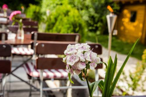 Hostal Kur- Und Feriencamping Max 1