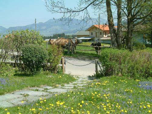 Apartamento Ferienhaus Riss