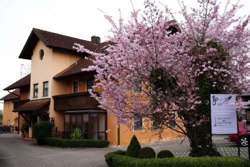 Apartamento Appartementhaus Sibylle