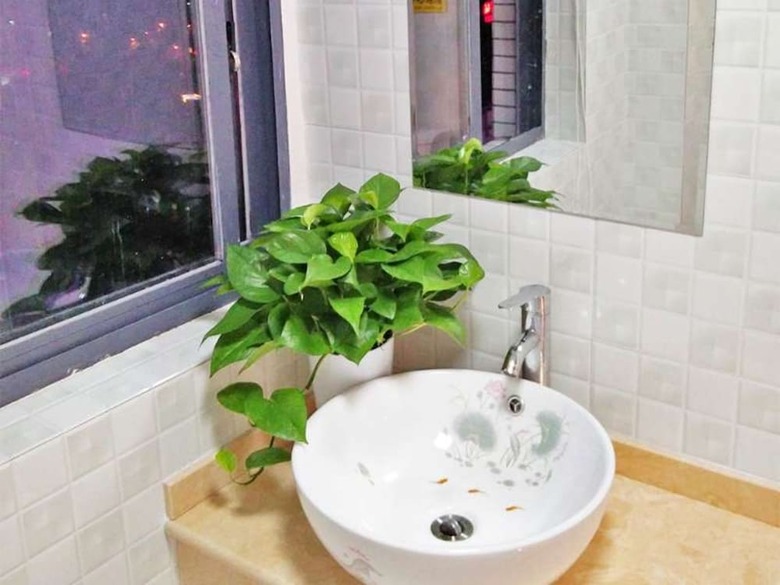 Hostal Bajie Youth Hostel(Tianmenshan Train Station)