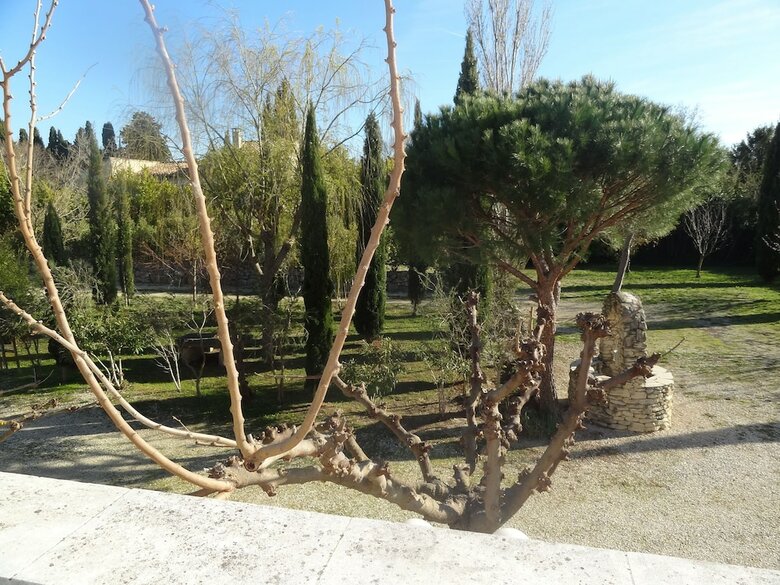 Hotel Locations Des Alpilles