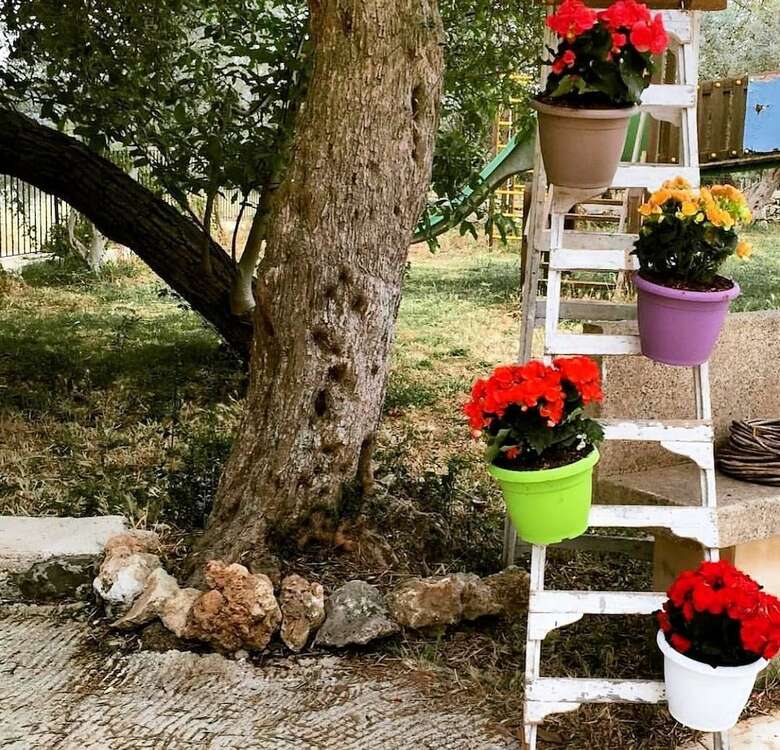 Agroturismo Social Farm La Maddalena