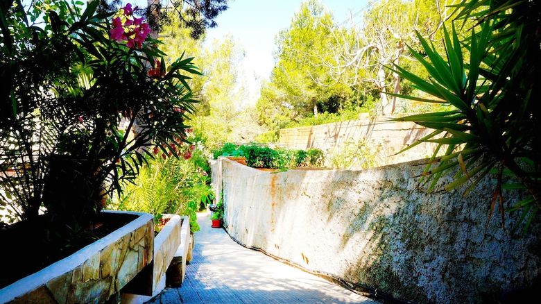 Granada Apartments Ibiza