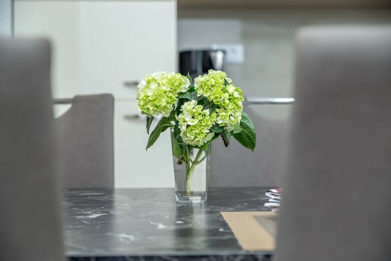 Luxury Apartments Kostrena
