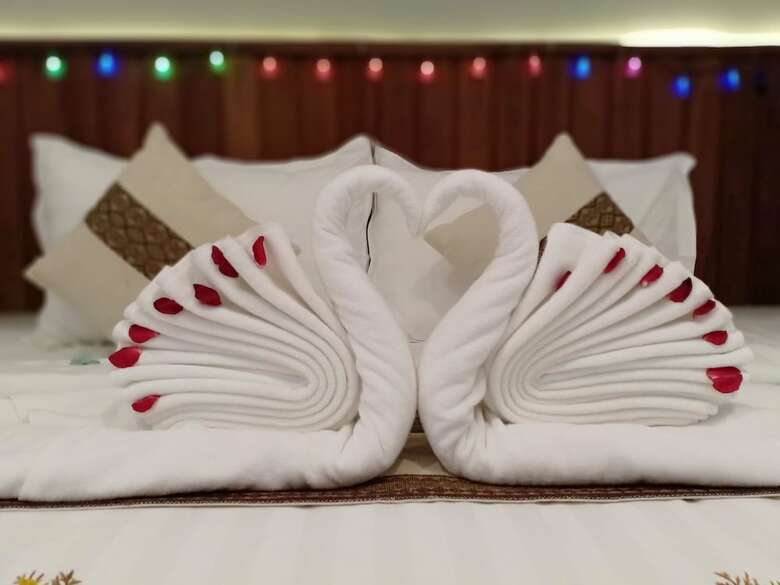 Hotel Duo Swan