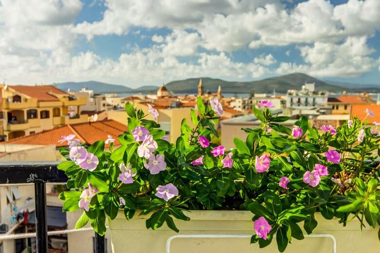 Bed & Breakfast Alghero Roof Garden