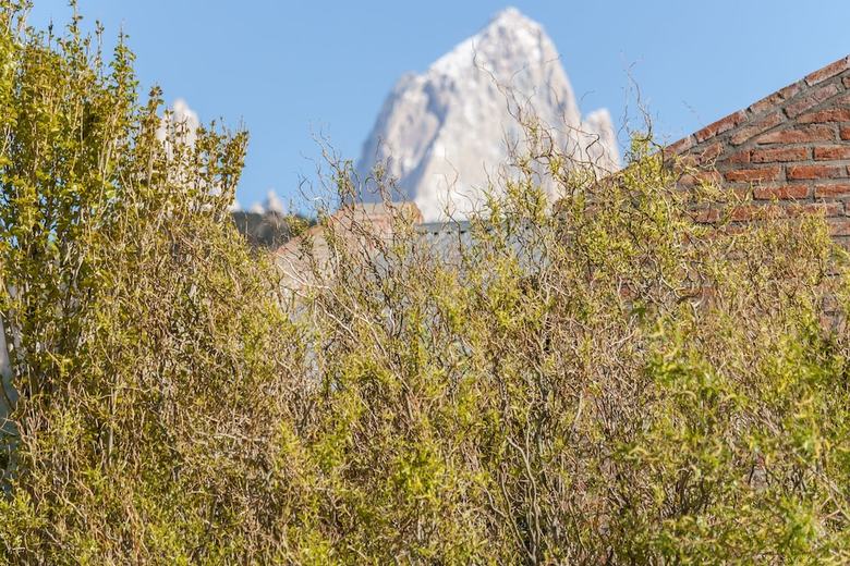 Inlandsis Posada Patagonica
