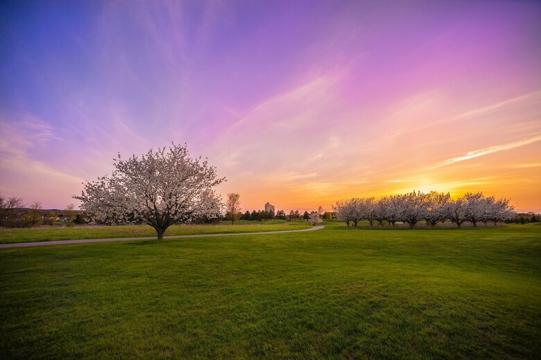 Apartamento Grand Traverse Resort And Spa