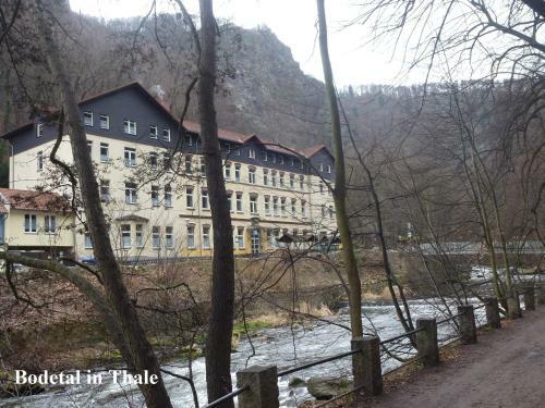 Apartamento Ferienwohnung Thale