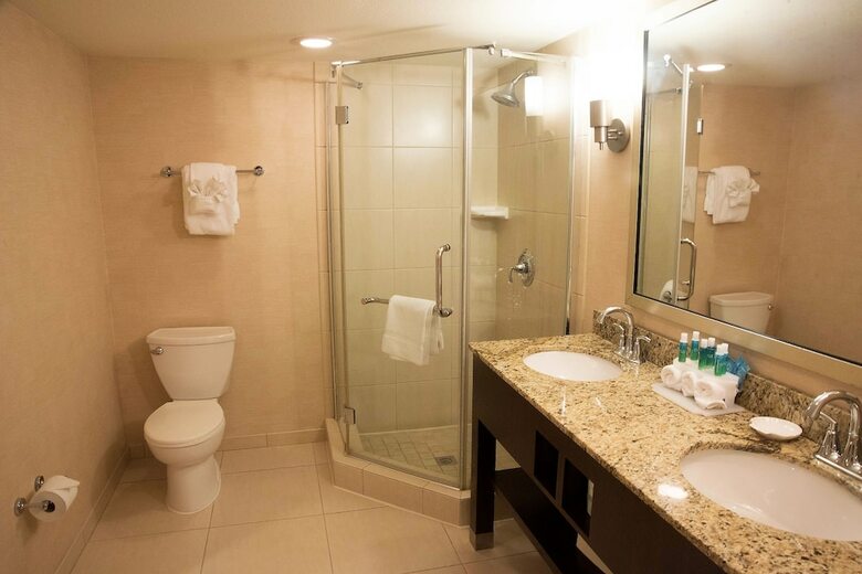 Hotel Holiday Inn Express Baltimore-bwi Airport West