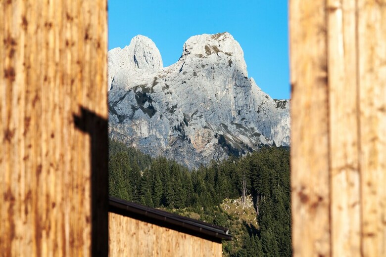 Gr�nobel Chalets