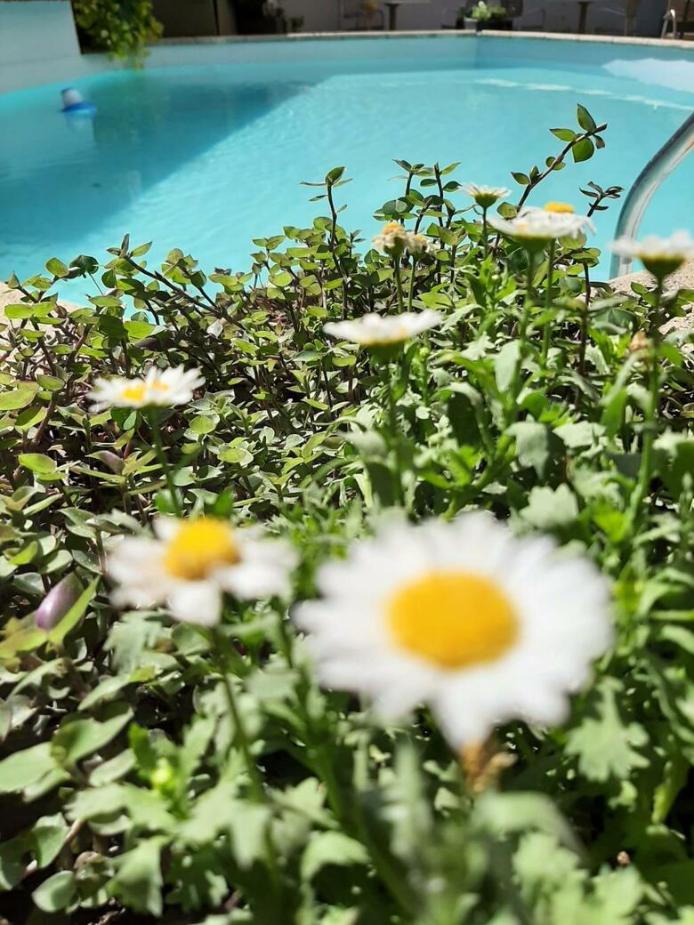 Garden Park Hotel