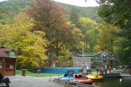 Ferienwohnungen Senftner Inklusive Bodetal-therme