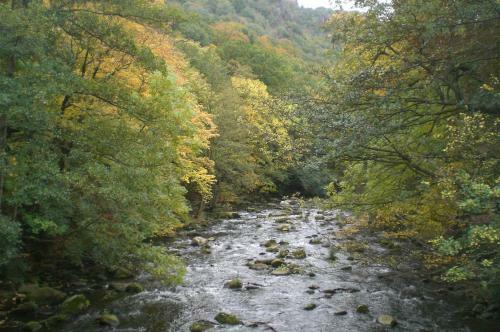 Ferienwohnungen Senftner Inklusive Bodetal-therme
