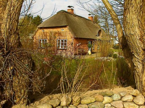Apartamento Das Reetdachhaus - Paulines H�ft