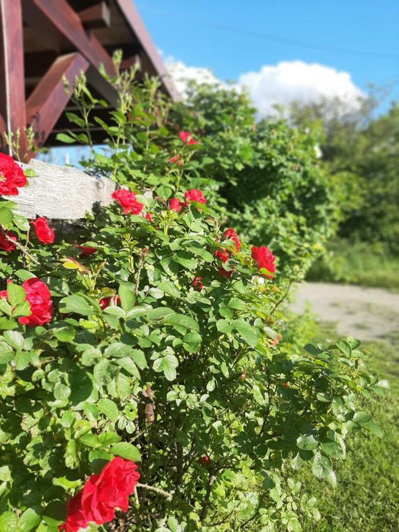 Apartamento Fewo An Der Teufelskanzel