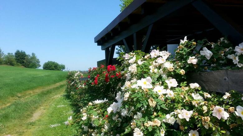 Apartamento Fewo An Der Teufelskanzel