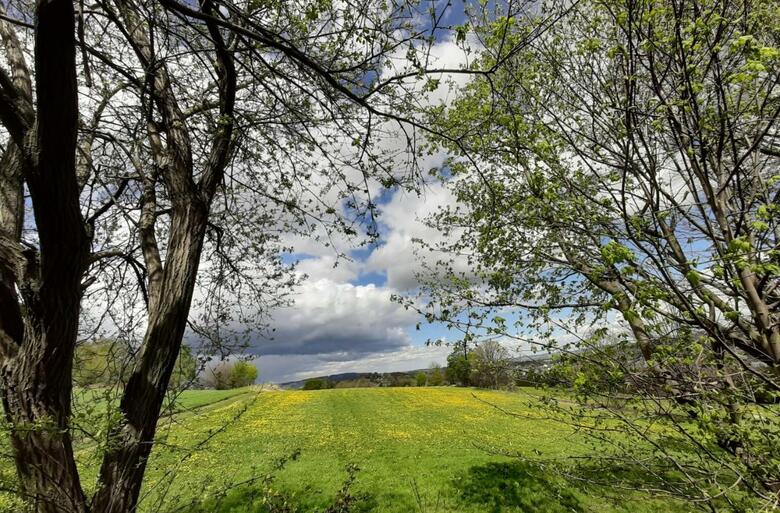 Apartamento Fewo An Der Teufelskanzel