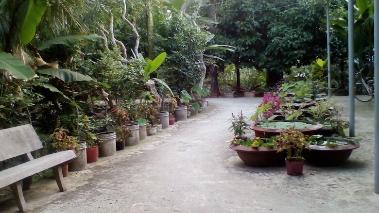 Hotel Little River Homestay