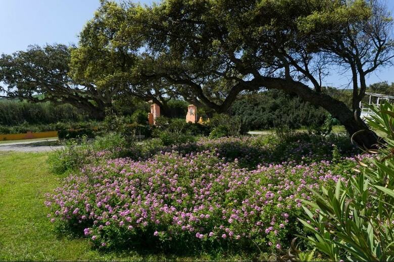 Agroturismo Villa Le Querce