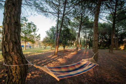 Agroturismo La Collinella