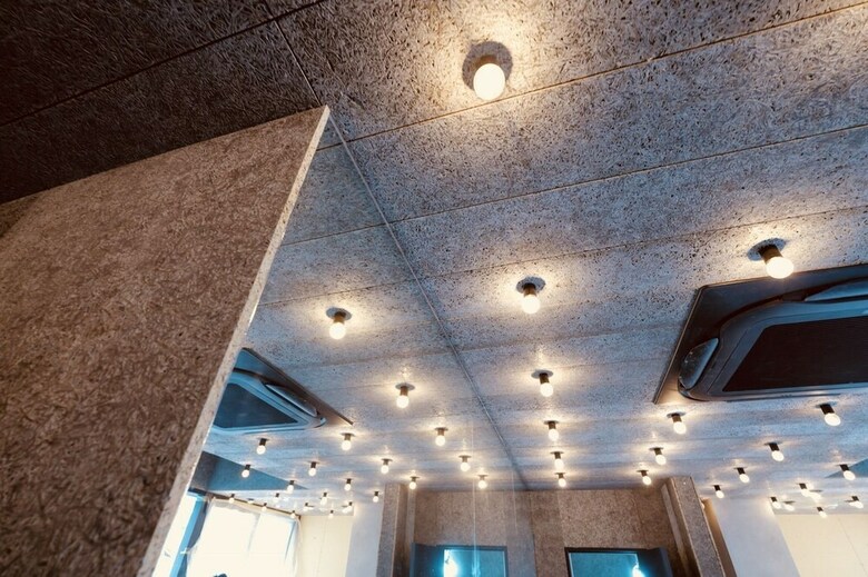 Hotel Earthmans Dotombori