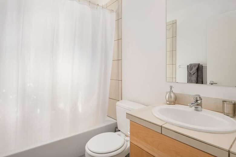 Seattle Vacation Home: The Olympics