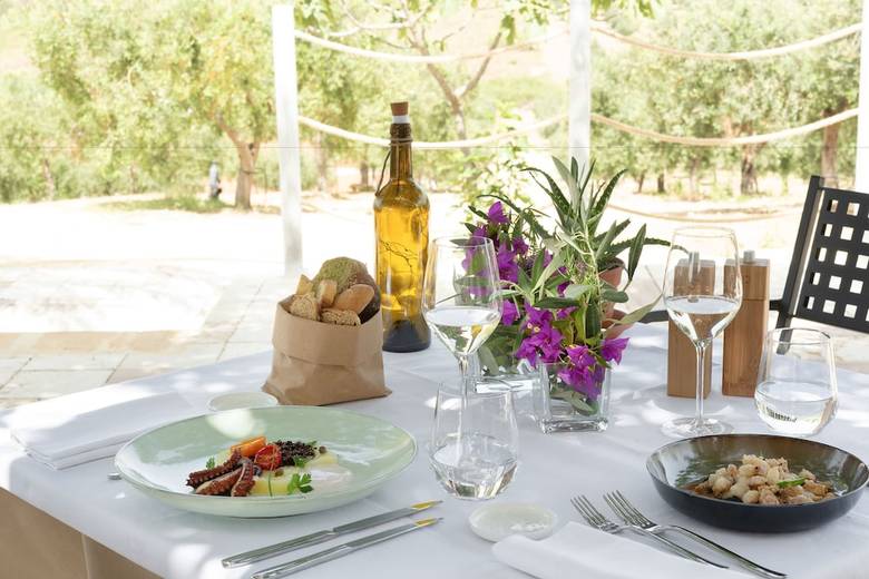 Posada Momentum Wellness Bio Resort