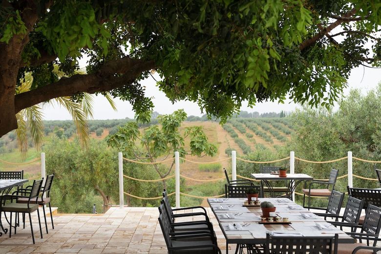 Posada Momentum Wellness Bio Resort