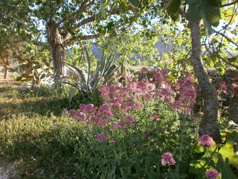 Agroturismo Finca El Corral