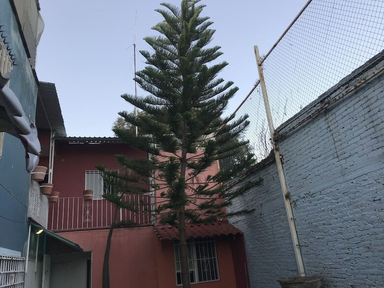 Bed & Breakfast Hotel Casa Mexicana Autlan