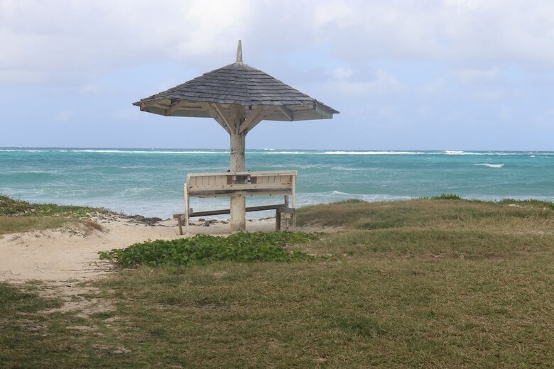 Beach Palm Villa