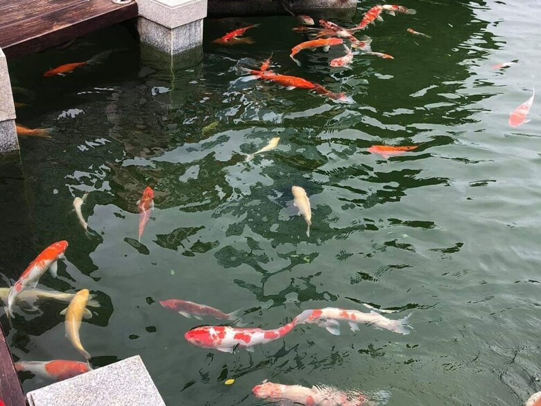 Hoang Phuong Apartment