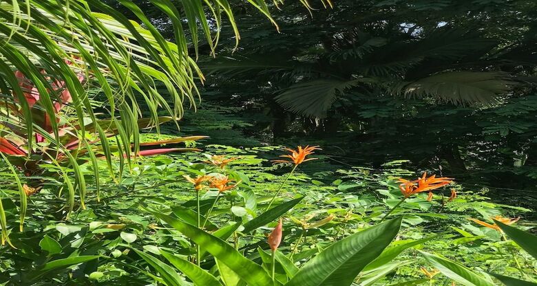 La Nature Apartments