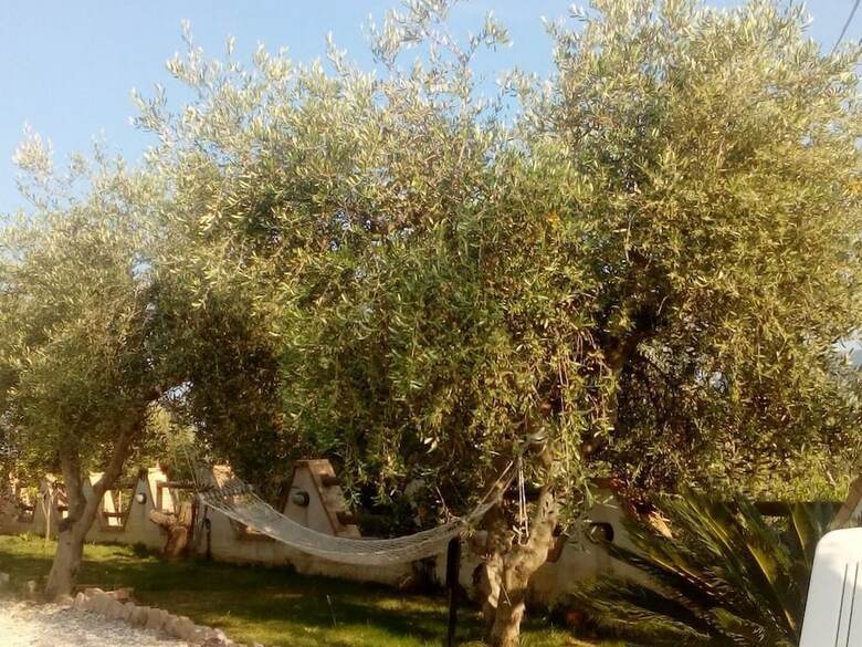 Bed & Breakfast Casale 920