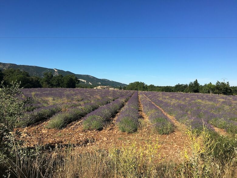 Le Clos D'estellan - Gites
