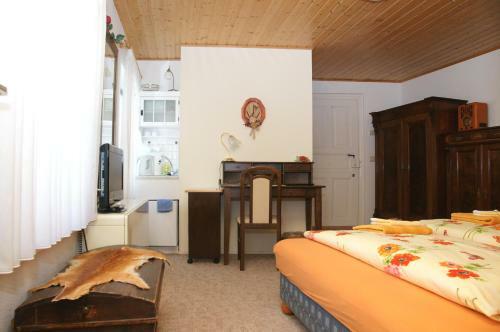Hostal Apartmenthaus & Pension Antik
