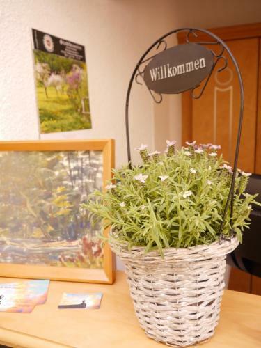Hotel Ratskeller Vetschau