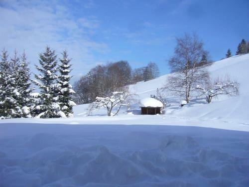 Hostal G�stehaus Schlegel