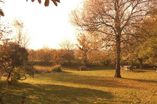 Apartamento Dorotheenhof