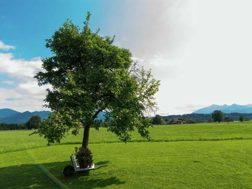 Cozy Apartment In Feldwies With Sauna